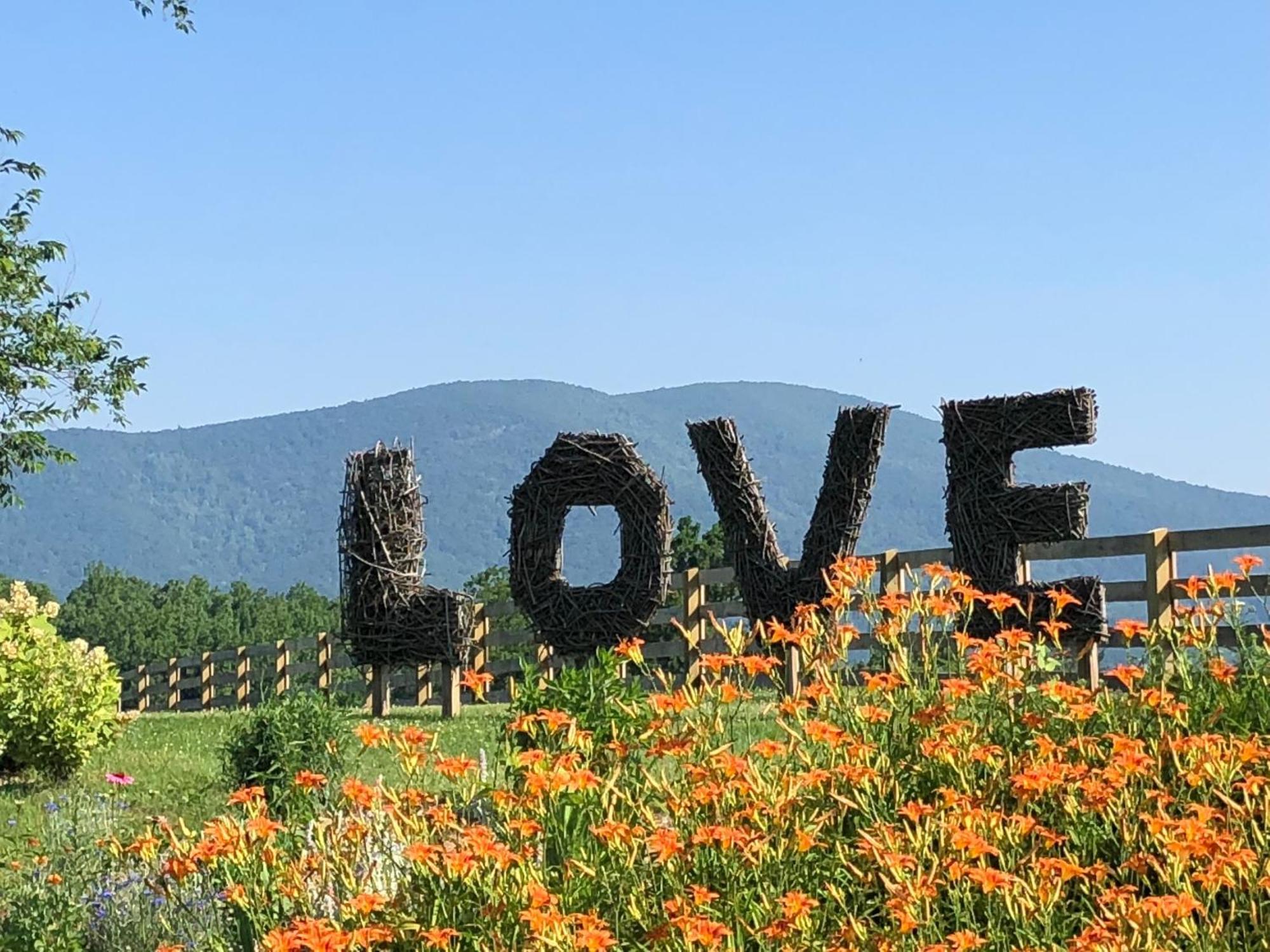 Montfair Resort Farm Crozet Номер фото