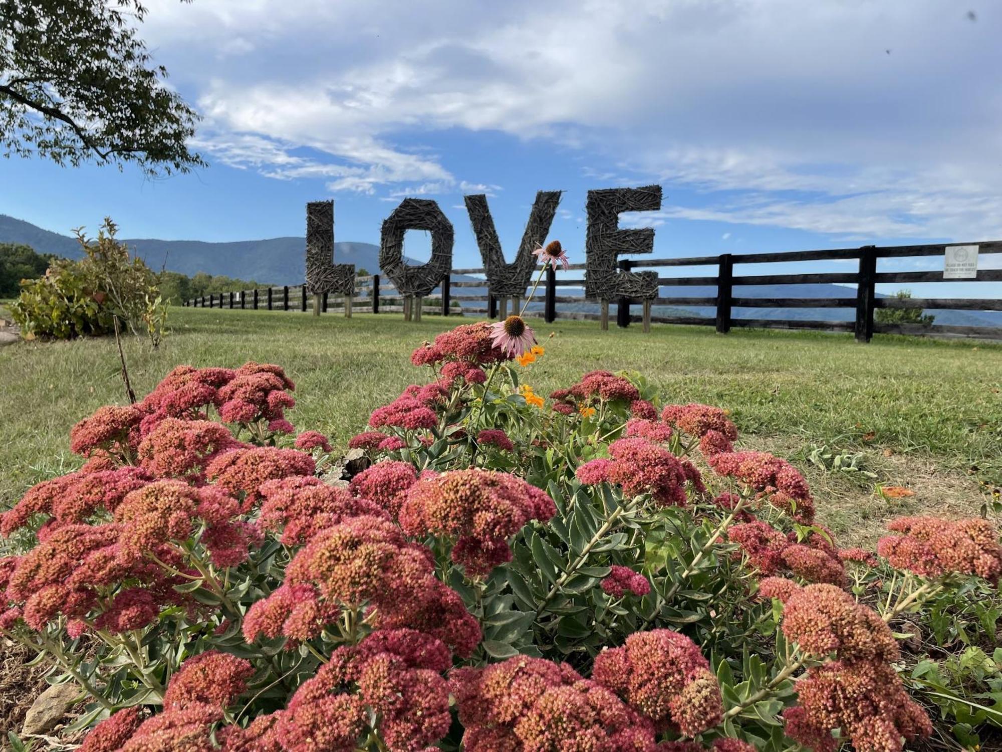 Montfair Resort Farm Crozet Номер фото